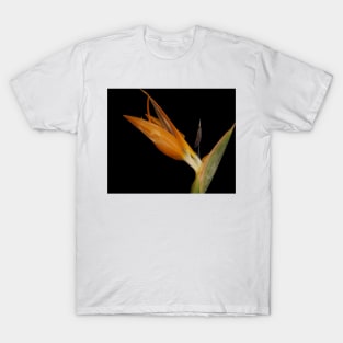 Bird of Paradise closeup T-Shirt